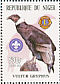 Andean Condor Vultur gryphus  2002 Raptors 