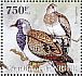Namaqua Dove Oena capensis  2013 Pigeons Sheet