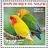 Rosy-faced Lovebird Agapornis roseicollis