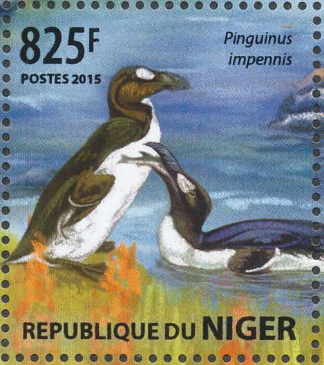 アンティーク　プリント　フレーム　GREAT  AUK Great Auk Bird Engraving 1853-1891. Art Prints, Posters