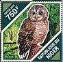 African Wood Owl Strix woodfordii  2015 Owls Sheet