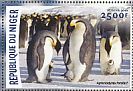 Emperor Penguin Aptenodytes forsteri  2016 Antarctic wildlife 