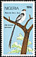 Pin-tailed Whydah Vidua macroura  1984 Rare birds 