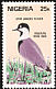 Spur-winged Lapwing Vanellus spinosus