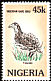 Double-spurred Spurfowl Pternistis bicalcaratus  1984 Rare birds 