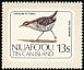 Buff-banded Rail Hypotaenidia philippensis  1983 Birds of Niuafoou sa