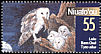 Eastern Barn Owl Tyto javanica  2001 Owls 