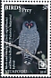 Black-banded Owl Strix huhula  2018 Birds of prey White frames