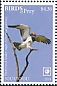 Short-toed Snake Eagle Circaetus gallicus  2018 Birds of prey White frames