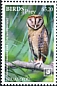 Minahassa Masked Owl Tyto inexspectata  2018 Birds of prey White frames
