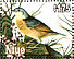 Grasshopper Sparrow Ammodramus savannarum  1985 Audubon  MS MS MS