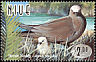Brown Noddy Anous stolidus  1998 Coastal birds 