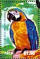 Blue-and-yellow Macaw Ara ararauna  2004 Birds Sheet