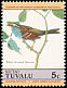 White-throated Sparrow Zonotrichia albicollis  1985 Audubon 