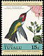 Anna's Hummingbird Calypte anna  1985 Audubon 