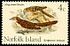 Pacific Long-tailed Cuckoo Urodynamis taitensis  1970 Birds 