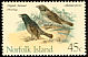 Tasman Starling Aplonis fusca †  1970 Birds 