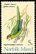 Norfolk Parakeet Cyanoramphus cookii  1971 Birds 