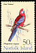Crimson Rosella Platycercus elegans  1971 Birds 