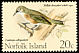 White-chested White-eye Zosterops albogularis †  1971 Birds 