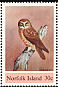 Morepork Ninox novaeseelandiae  1984 Boobook Owl Strip