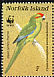 Norfolk Parakeet Cyanoramphus cookii