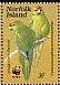 Norfolk Parakeet Cyanoramphus cookii