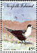 Sooty Tern Onychoprion fuscatus  1994 Sea birds Booklet