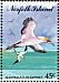 Australasian Gannet Morus serrator  1994 Sea birds Booklet