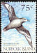 Providence Petrel Pterodroma solandri  1999 Providence Petrel 