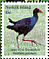 Australasian Swamphen Porphyrio melanotus  2001 Hong Kong 2001 Sheet with 5x45c