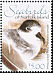 White-necked Petrel Pterodroma cervicalis  2005 Seabirds 