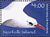 Red-tailed Tropicbird Phaethon rubricauda  2005 Seabirds  MS