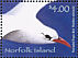 Red-tailed Tropicbird Phaethon rubricauda