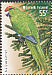 Norfolk Parakeet Cyanoramphus cookii  2009 Species at risk 4v set