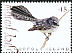 Grey Fantail Rhipidura albiscapa  2009 Bush birds 