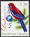 Crimson Rosella Platycercus elegans