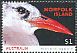 Red-tailed Tropicbird Phaethon rubricauda  2016 Seabirds 