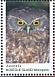 Morepork Ninox novaeseelandiae  2022 Morepork Sheet