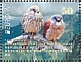 Lesser Kestrel Falco naumanni  2019 Europa Booklet