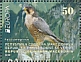 Peregrine Falcon Falco peregrinus  2019 Europa Booklet