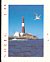 Common Tern Sterna hirundo  1997 Lighthouse Booklet