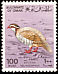 Arabian Partridge Alectoris melanocephala  1982 Flora and fauna 