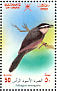 Black-crowned Tchagra Tchagra senegalus  2002 Birds in Oman Sheet