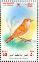 Arabian Lark Eremalauda eremodites  2002 Birds in Oman Sheet
