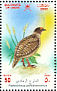 Grey Francolin Ortygornis pondicerianus  2002 Birds in Oman Sheet