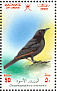 Tristram's Starling Onychognathus tristramii  2002 Birds in Oman Sheet