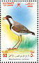 Red-wattled Lapwing Vanellus indicus  2002 Birds in Oman Sheet