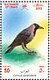 House Crow Corvus splendens  2002 Birds in Oman Sheet