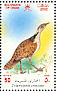 Macqueen's Bustard Chlamydotis macqueenii  2002 Birds in Oman Sheet